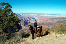USA-Arizona-Geronimo Trail to the Grand Canyon